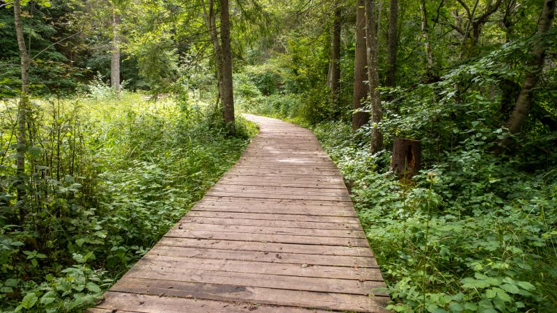 Pathway Raising