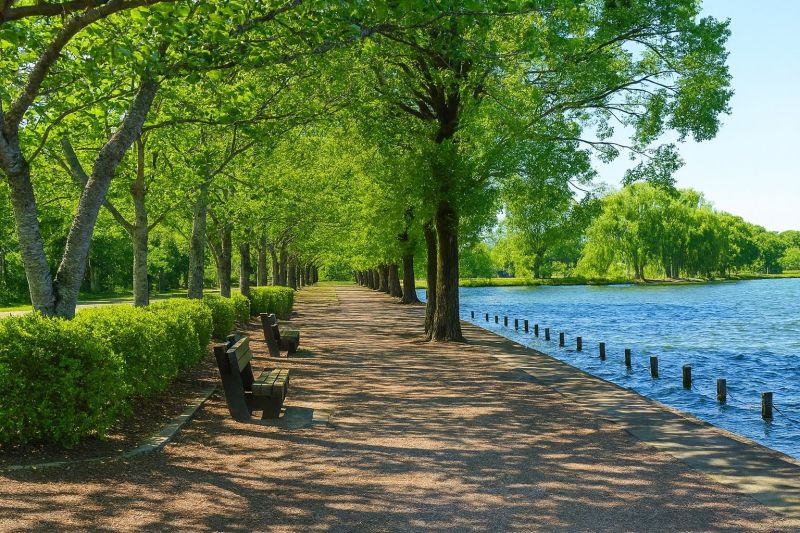 Pathway Raising