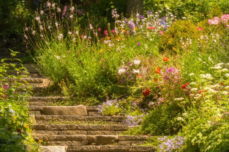 Pathway Raising