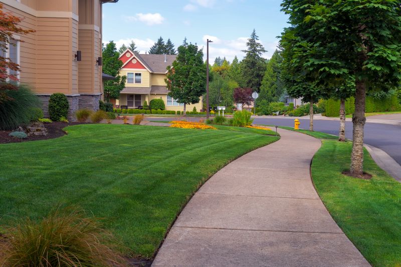 Sidewalk Raising